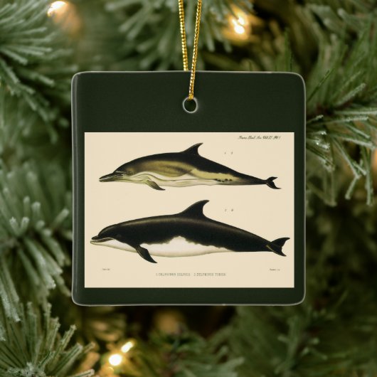  dolfijnen, zeedieren en zoogdieren keramisch ornament (Boom)