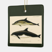  dolfijnen, zeedieren en zoogdieren keramisch ornament (Links)