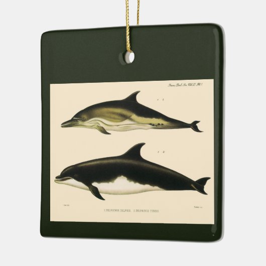  dolfijnen, zeedieren en zoogdieren keramisch ornament (Links)