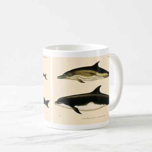  dolfijnen, zeedieren en zoogdieren koffiemok (Voorkant rechts)