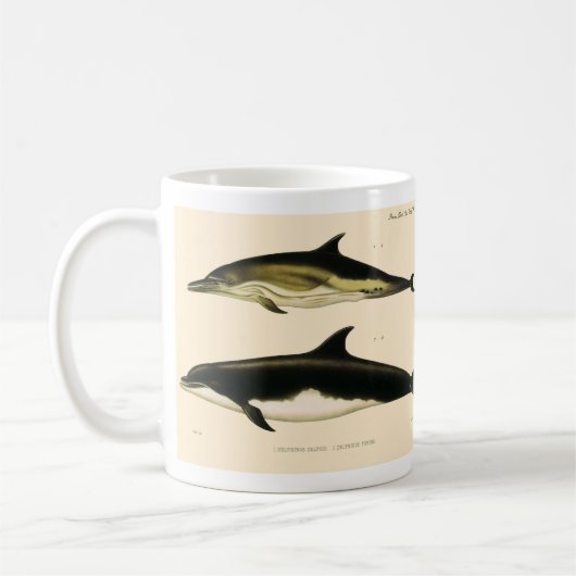  dolfijnen, zeedieren en zoogdieren koffiemok (Links)