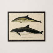  dolfijnen, zeedieren en zoogdieren legpuzzel (Horizontaal)