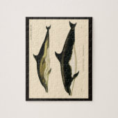 dolfijnen, zeedieren en zoogdieren legpuzzel (Verticaal)