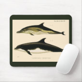 dolfijnen, zeedieren en zoogdieren muismat (Met muis)