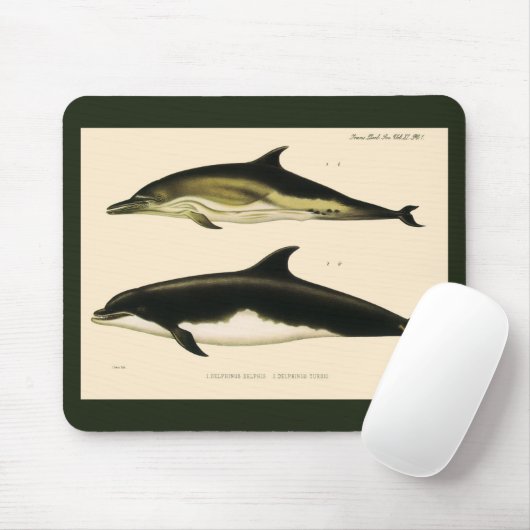  dolfijnen, zeedieren en zoogdieren muismat (Met muis)