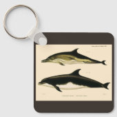 dolfijnen, zeedieren en zoogdieren sleutelhanger (Voorkant)