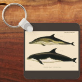 dolfijnen, zeedieren en zoogdieren sleutelhanger (Voorkant)