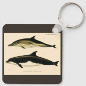 dolfijnen, zeedieren en zoogdieren sleutelhanger (Achterkant)