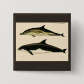  dolfijnen, zeedieren en zoogdieren vierkante button 5,1 cm (Voorkant)