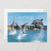 Dolfijnen zwemmen en trucs uitvoeren briefkaart (Voorkant / Achterkant)