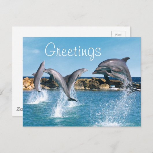 Dolfijnen zwemmen en trucs uitvoeren briefkaart (Voorkant / Achterkant)