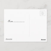 Dolfijnen zwemmen en trucs uitvoeren briefkaart (Achterkant)