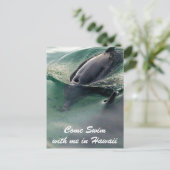 Dolfijnen Zwemmen Hawaï Big Island Briefkaart (Staand voorkant)