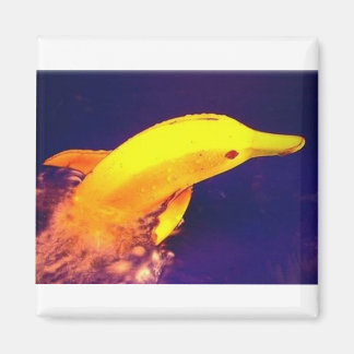 Dolfijnenbanaan Magneet