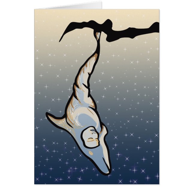 dolfijnencocoon (Voorkant)