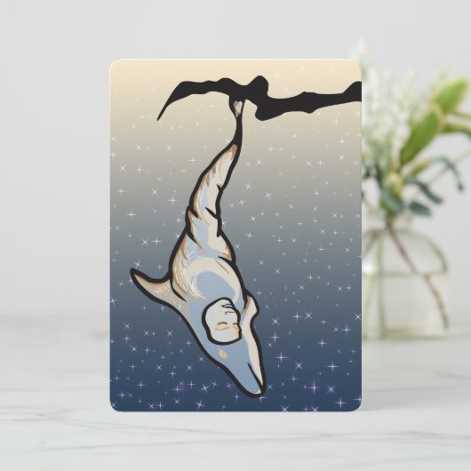 dolfijnencocoon kaart (Staand voorkant)