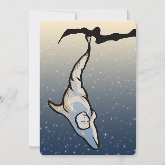 dolfijnencocoon kaart (Voorkant)