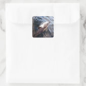 Dolfijnenoppervlak Vierkante Sticker (Tas)