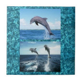 dolfijnentegel tegeltje (Voorkant)