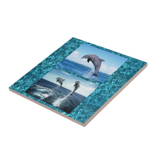 dolfijnentegel tegeltje (Zijkant)