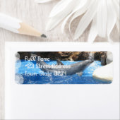 Dolfijnentrucs Retouradreslabel Etiket (Insitu)