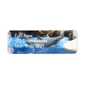 Dolfijnentrucs Retouradreslabel Etiket (Voorkant)