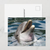 DOLFIJNFOTOGRAFIE BRIEFKAART (Voorkant / Achterkant)