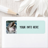 DOLFIJNFOTOGRAFIE RETURN ADRES ETIKETTERS ETIKET (Insitu)