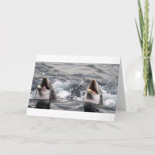 dolfijngolf water tropische duik zwemmen Aquatic L Kaart (Voorkant)