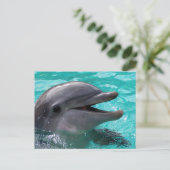 Dolfijnkop in aquamarinewater briefkaart (Staand voorkant)