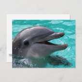 Dolfijnkop in aquamarinewater briefkaart (Voorkant / Achterkant)