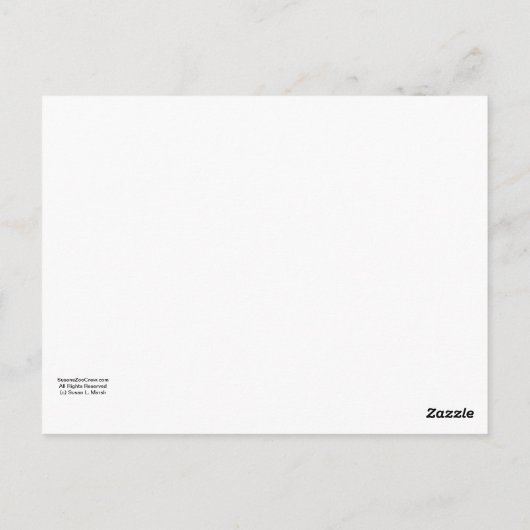 Dolfijnkop in aquamarinewater briefkaart (Achterkant)