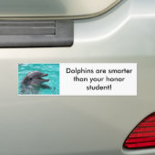 Dolfijnkop in aquamarinewater bumpersticker (Op auto)