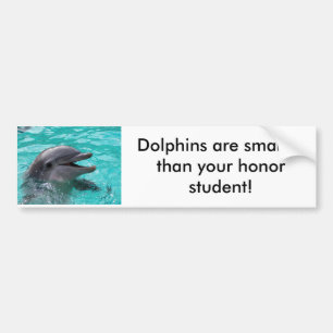 Dolfijnkop in aquamarinewater bumpersticker