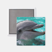 Dolfijnkop in aquamarinewater magneet (Voorkant / Achterkant)