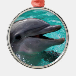 Dolfijnkop in aquamarinewater metalen ornament
