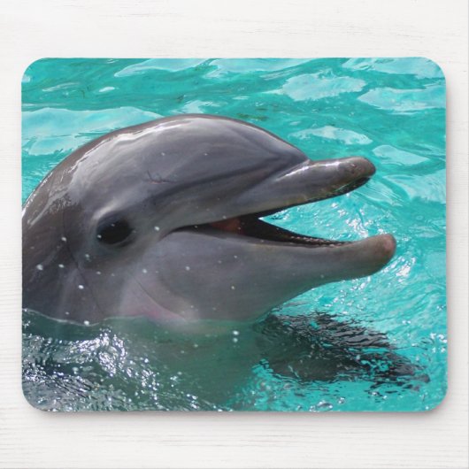 Dolfijnkop in aquamarinewater muismat (Voorkant)