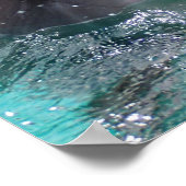 Dolfijnkop in aquamarinewater poster (Hoek)