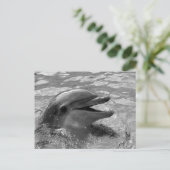 Dolfijnkop in watermond open zwart-wit briefkaart (Staand voorkant)