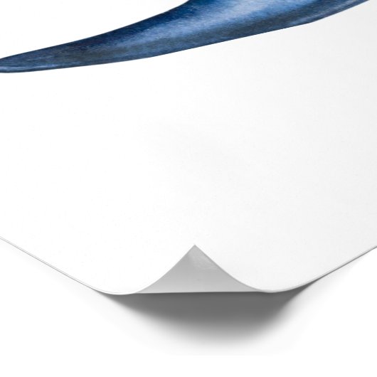 Dolfijnkunst Poster (Hoek)