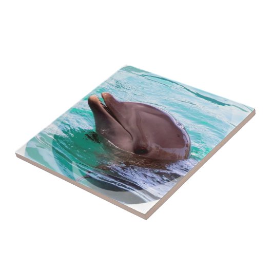 Dolfijnontwerptegel Tegeltje (Zijkant)