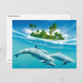 Dolfijnparadijs Briefkaart (Voorkant / Achterkant)