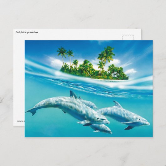 Dolfijnparadijs Briefkaart (Voorkant / Achterkant)