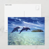 Dolfijnparadijs Briefkaart (Voorkant / Achterkant)