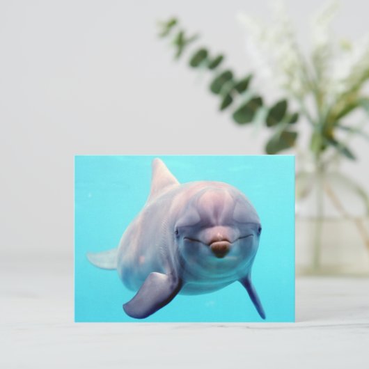 Dolfijnportret Briefkaart (Staand voorkant)