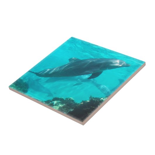 Dolfijntegel zwemmen tegeltje (Zijkant)