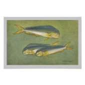 Dolfijnvis afdrukken Foto Afdruk (Voorkant)