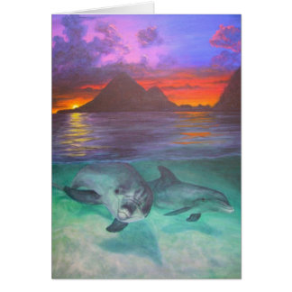 dolfijnzonsondergang