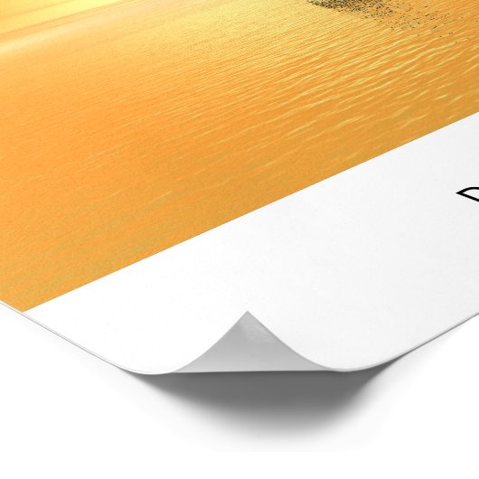 Dolfijnzonsonderstel Poster (Hoek)