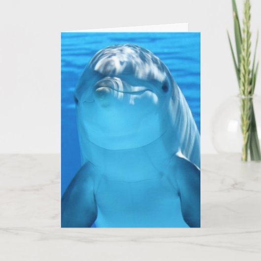 DOLFIN FOTOGRAPHY BIRTHDAY KAART (Voorkant)